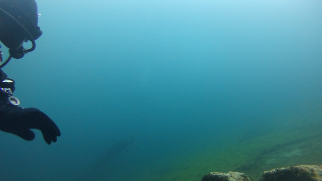 Förderband unter Wasser Schemenhaft zu erkennen